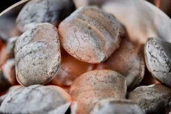 Kokosbriketten 4kg|ohgreen Outlet