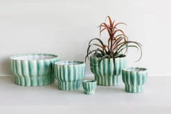 Kom ocean|ohgreen Hot