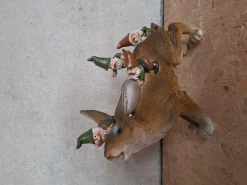 Konijn met kabouters|ohgreen Clearance