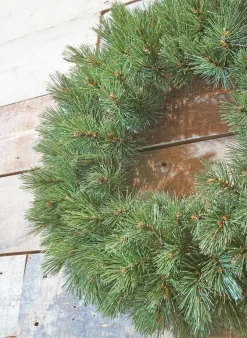 Krans|ohgreen Clearance