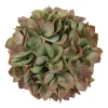 Kunstdeco bal eucalypthus|ohgreen Online