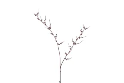 Kunstknop prunus|ohgreen Online