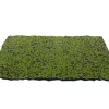 Kunstmos mat groen-bruin 70x50cm|ohgreen Sale