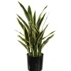 Kunstplant Sanseveria|ohgreen Best