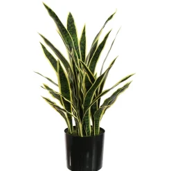 Kunstplant Sanseveria|ohgreen Best