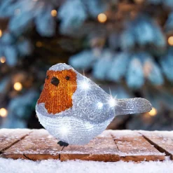 Led roodborstje acryl|ohgreen Discount