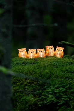 Lichtsnoer 5 acryl uilen 5m 40led warmwit voor buiten|ohgreen Sale