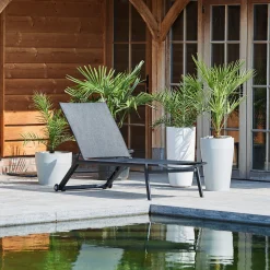 Ligbed Hydra zwart/zwart|ohgreen Online