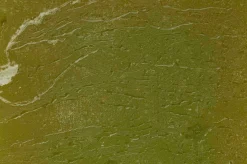 Luz Your Senses kaars|ohgreen Sale