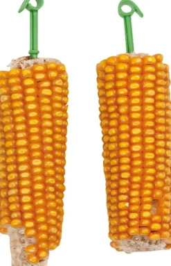 Maiskolven 2 st. - 200 gr.|ohgreen Online