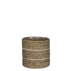 Mand celestial|ohgreen