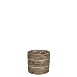 Mand celestial|ohgreen Clearance