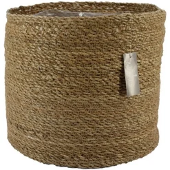 Mand chennai|ohgreen Hot