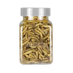 Meelwormen 100 ml. (vriesdroog)|ohgreen Online