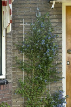 Metalen klimrek grijs|ohgreen Clearance