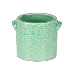 Minipot dune|ohgreen Online