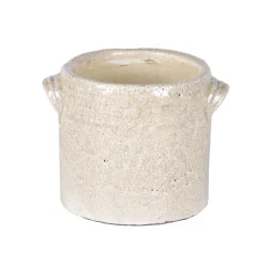 Minipot dune|ohgreen Best