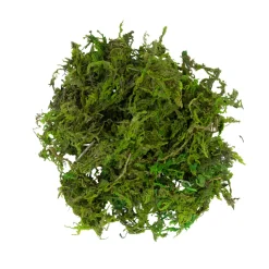Mos groen 30g|ohgreen Online
