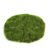 Mosschijf marchantiophyta xs|ohgreen Online