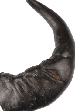 Nature snack hoorn large 1stuk|ohgreen Hot