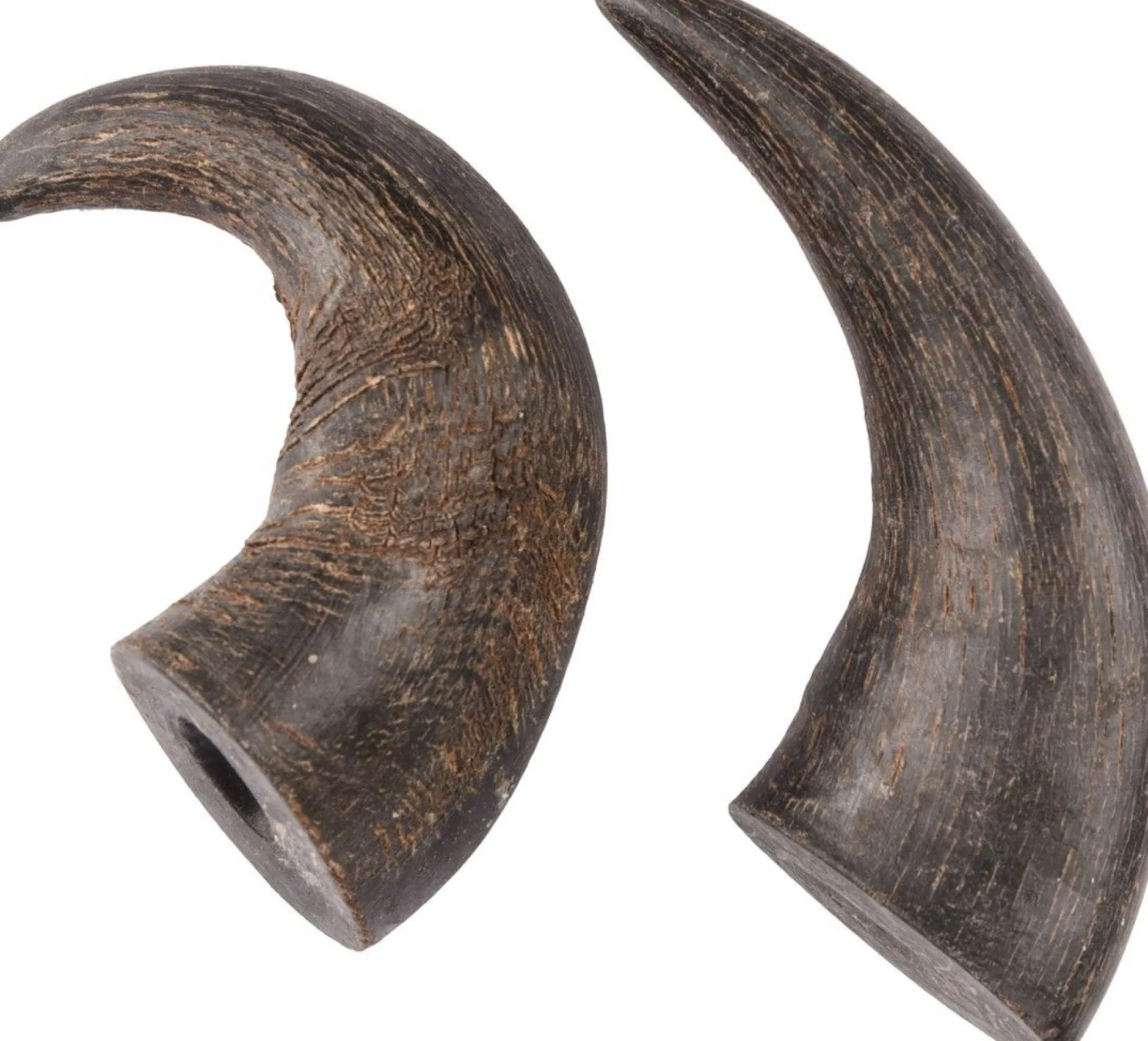 Nature snack hoorn small 2stuks|ohgreen