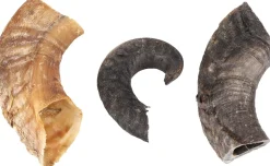 Nature snack schaapshoorn 200gr|ohgreen New