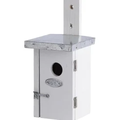 Nestkast Winterkoning Wit|ohgreen Outlet