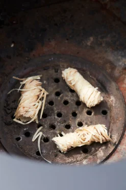 Nestor Island corten staal|ohgreen Sale