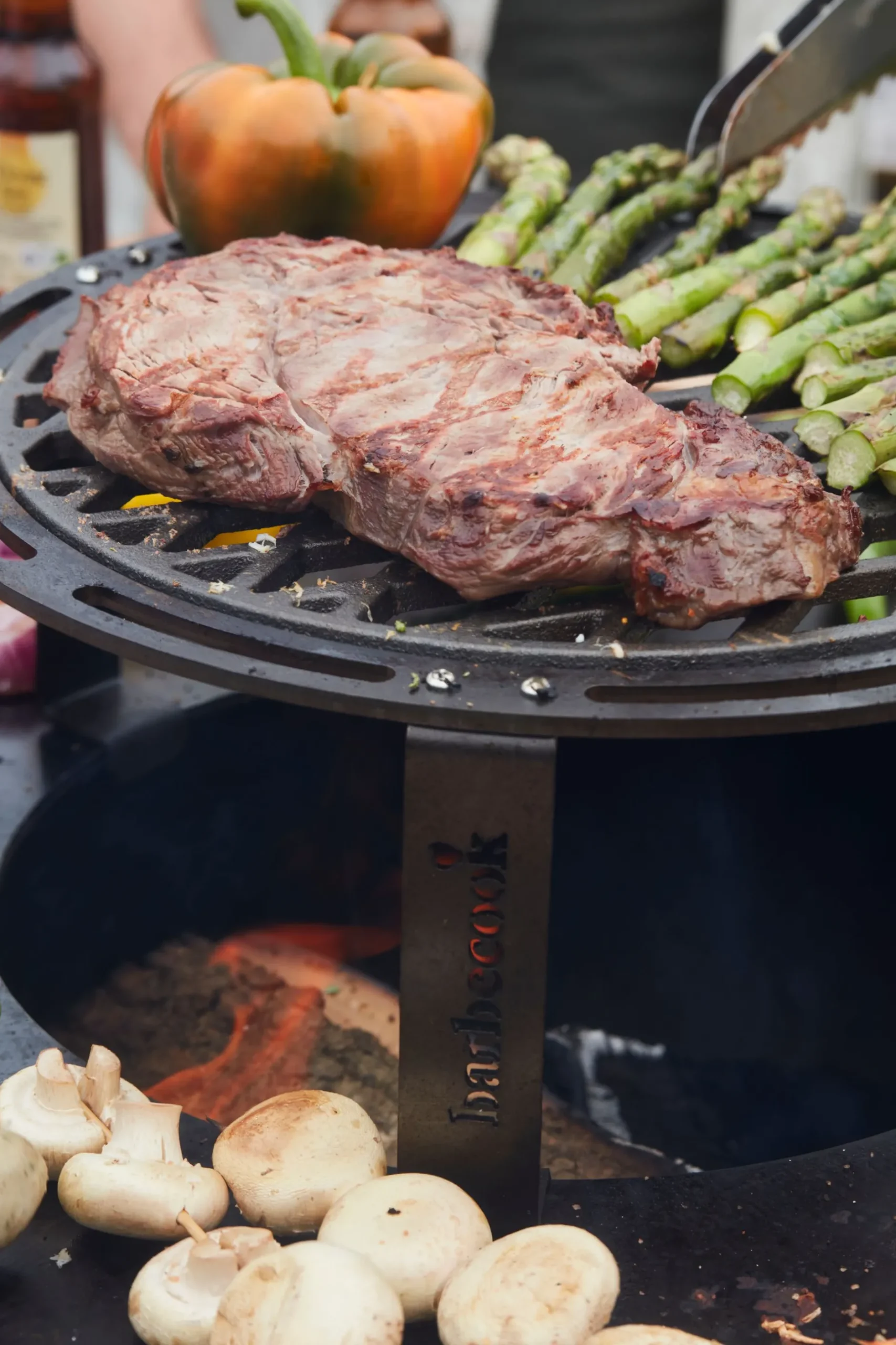 Nestor Original corten staal|ohgreen New