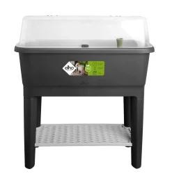 Noa kweektafel|ohgreen