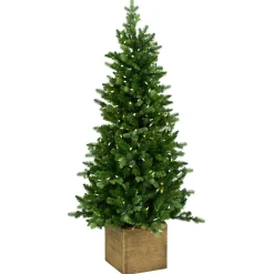 Norfolk pe table tree w/pot 137cm 200l transfo|ohgreen