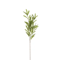 Olijf branche groen - l85cm|ohgreen Outlet