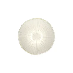 Ontbijtkom|ohgreen Sale