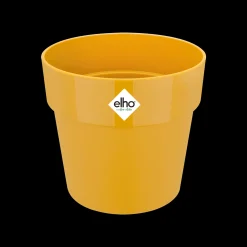 ORIGINAL ROND MINI 7CM OKER|ohgreen