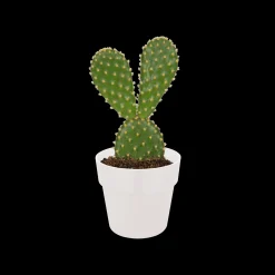 ORIGINAL ROND MINI 7CM WIT|ohgreen Clearance