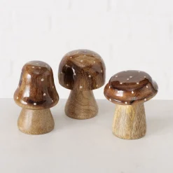 Paddenstoel clozzy|ohgreen Online