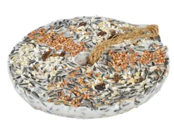 Pizza 500g|ohgreen Outlet