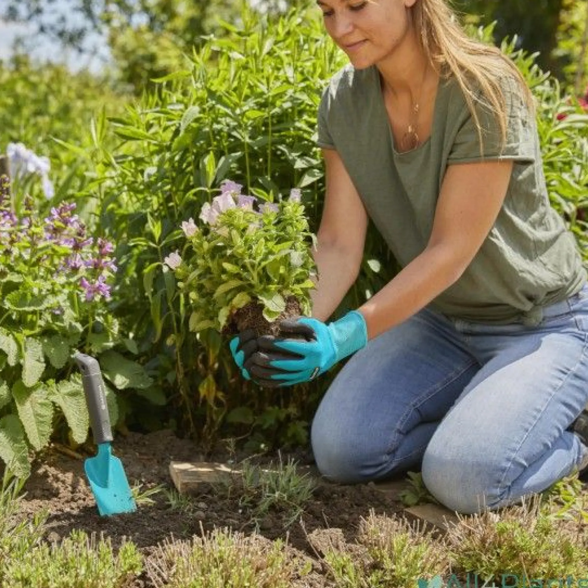 Plant- en bodemhandschoen L|ohgreen Online