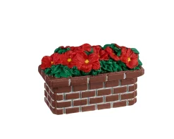 Poinsettia planter|ohgreen Best