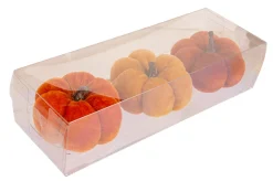 Pompoen|ohgreen Outlet