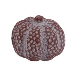 Pompoen 12x10cm|ohgreen Hot