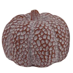 Pompoen 16x12cm|ohgreen Discount