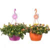 Portulacca in hangpot p25 h40|ohgreen New