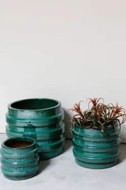 Pot agate|ohgreen New