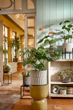 Pot apiro|ohgreen Outlet