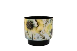 Pot camelia aquarel d17 h17|ohgreen Outlet
