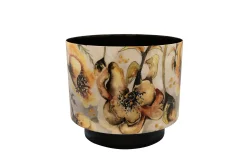 Pot camelia charm d22 h20|ohgreen Best