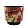 Pot camelia poppy d22 h20|ohgreen Discount