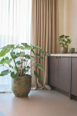 POT D44 ARRAY GRASGR|ohgreen Sale