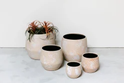 Pot d31 mist|ohgreen Outlet